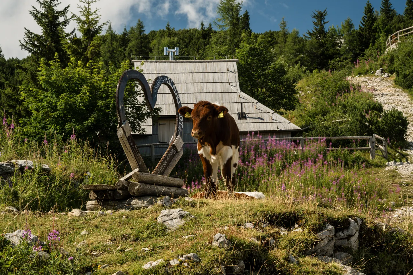 Travel photography by Frame That Visual — DSC06701