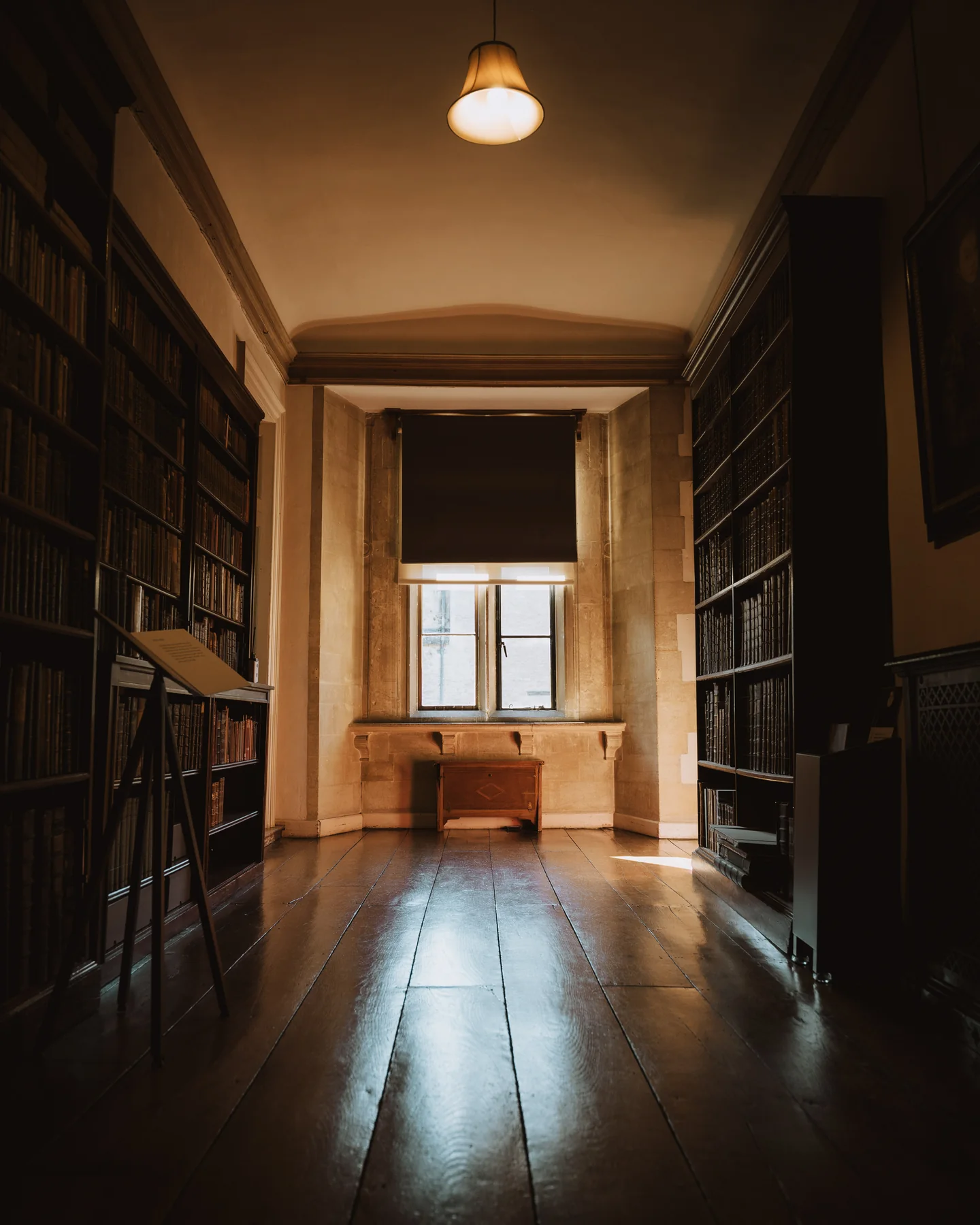 Quiet library interior in warm light